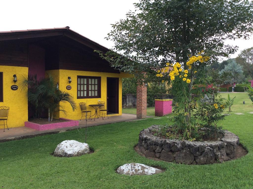 Cabanas La Chicharra Xico Номер фото